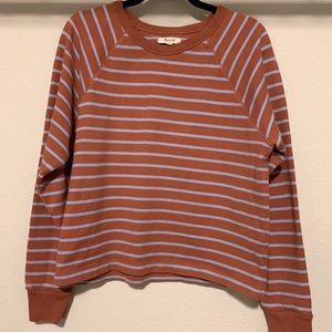 Madewell Luxe Raglan Sweatshirt